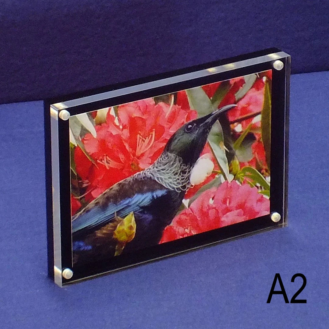 Magnetic Display Block